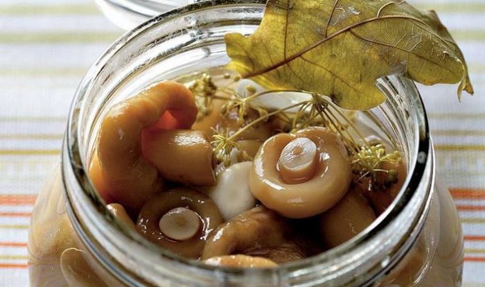 Как вкусно засолить сыроежки: быстрый рецепт на зиму