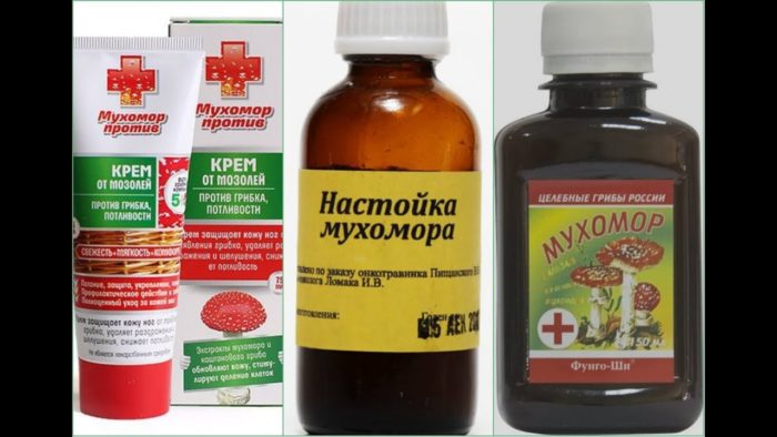 Лечение мухоморами в народной медицине