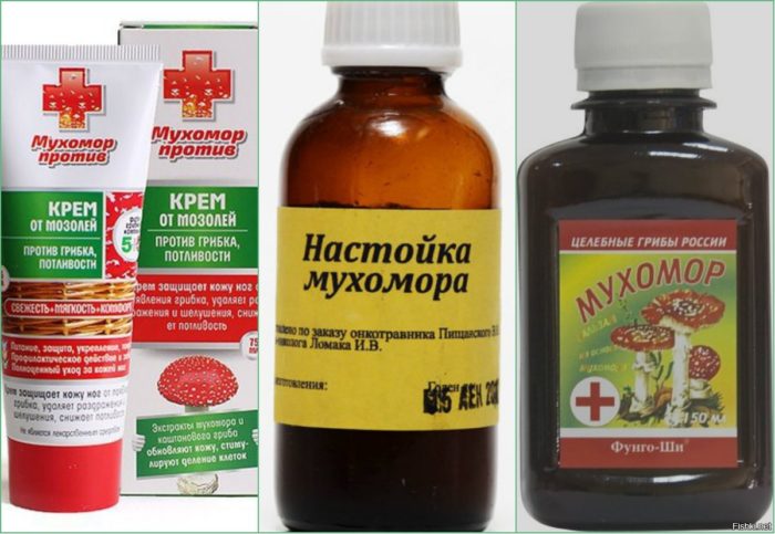 Можно ли есть мухоморы: отравление и смертельная доза